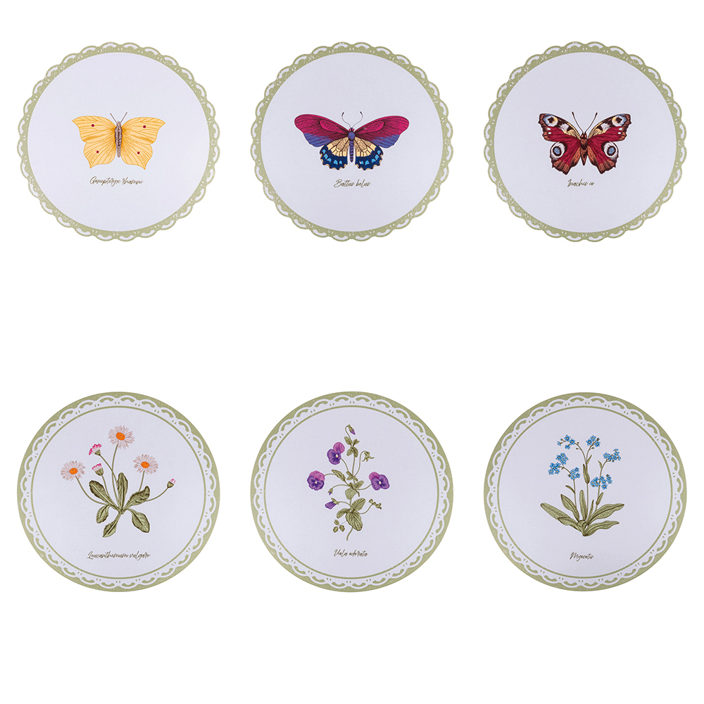 Tovaglietta tonda, Botanist