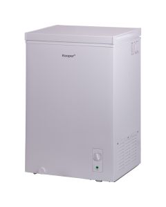 Congelatore a pozzetto 100L