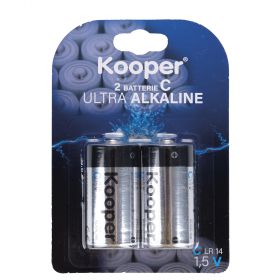 Set 2 batterie minitorce 1,5 V