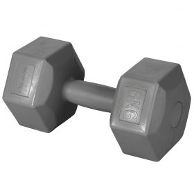 Manubrio fitness 6 Kg, grigio, FitLover