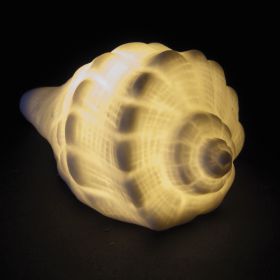 Conchiglia led decorativa in ceramica, Ocean
