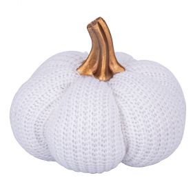 Zucca decorativa bianca media spicchi