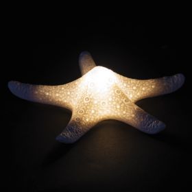 Stella marina led decorativa in ceramica, Ocean