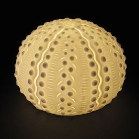 Riccio di mare led decorativo in ceramica, Ocean