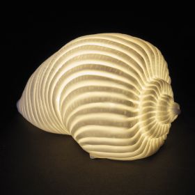 Conchiglia led decorativa in ceramica, Ocean