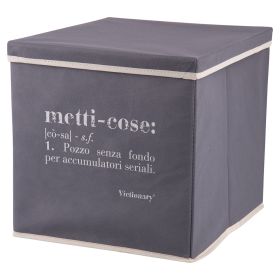 Cubo contenitore multiuso con coperchio, Victionary