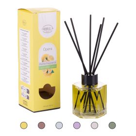 Diffusore ambiente 100 ml, Opera
