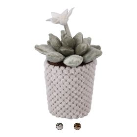 Mini cactus artificiale decorativo in tessuto h. 17 cm, Garden