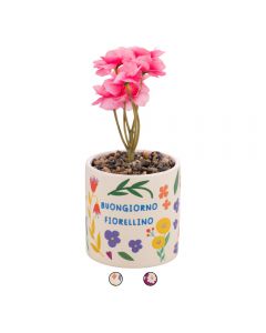 Piantina artificiale, vaso in ceramica, More Amor