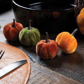 Sacchetto 6 zucche colorate, Pumpkin